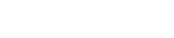 NordVPN logo